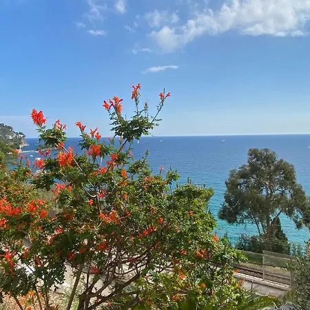 2 Pieces Hyper Centre *