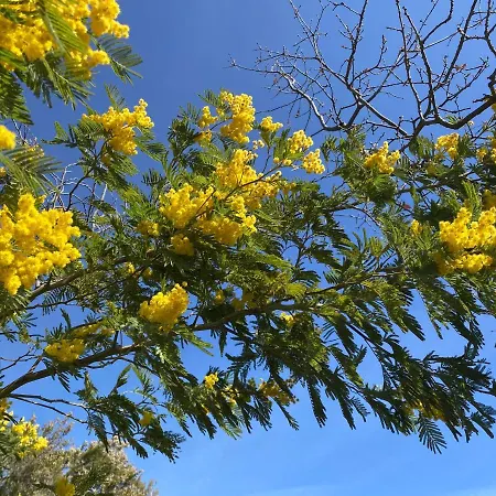 2 Pieces Hyper Centre Apartament Nicea